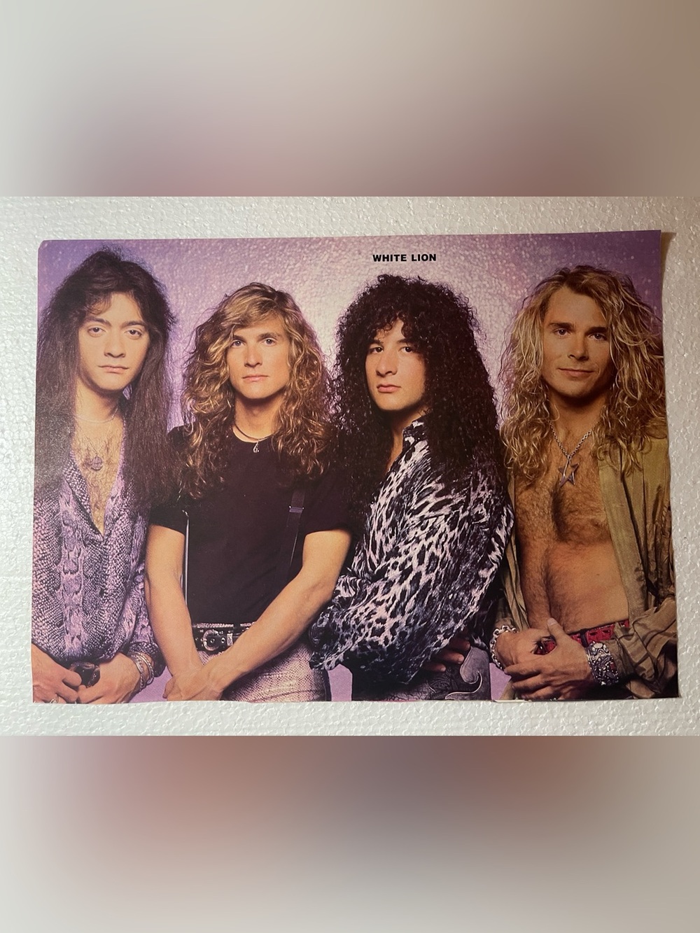 White Lion Band Pinup - Purple Background